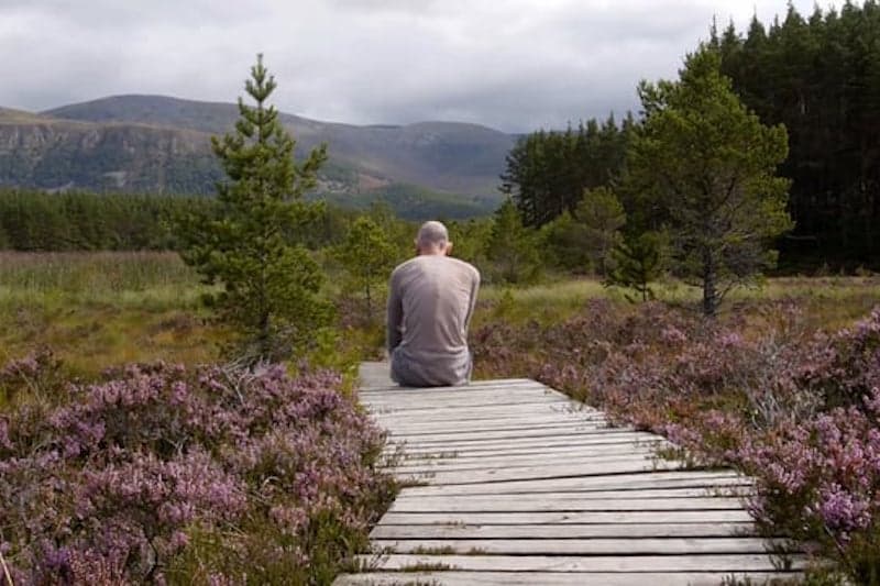 Marc sits with his back to us, on the end of a slatted wooden walkway winding through heather. Mountains and trees are in the backgroun.